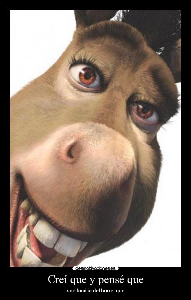 Creí que y pensé que -