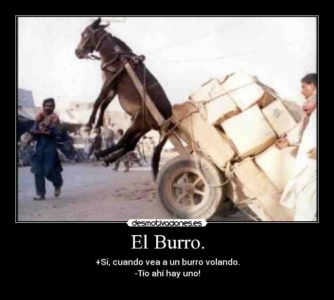 El Burro. - 