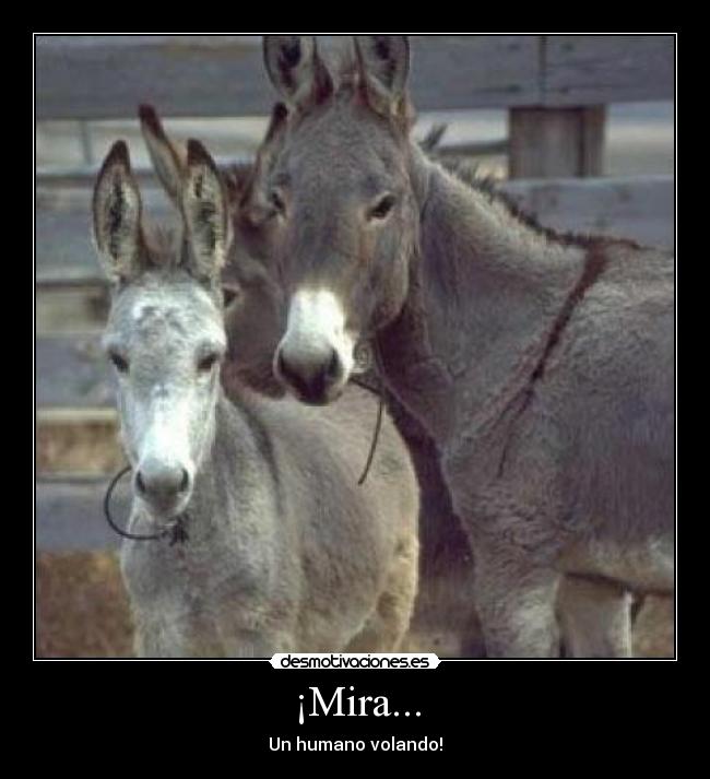 ¡Mira... -