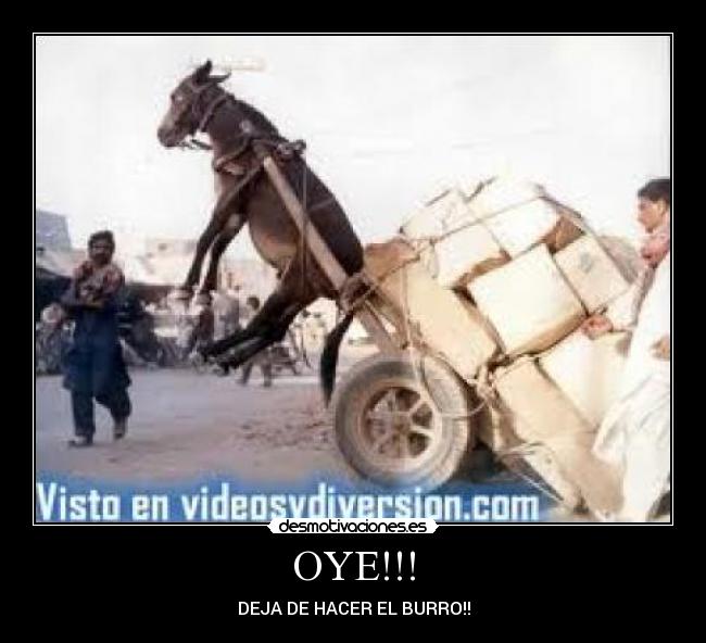OYE!!! - DEJA DE HACER EL BURRO!!