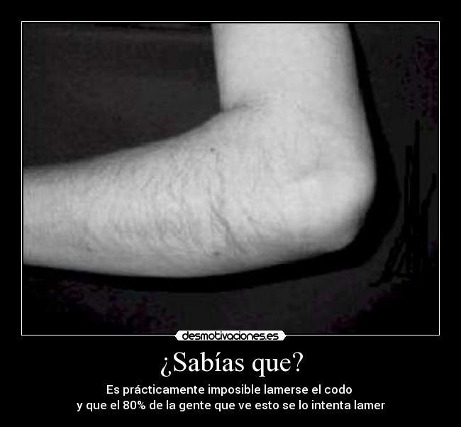 ¿Sabías que? - Es prácticamente imposible lamerse el codo
y que el 80% de la gente que ve esto se lo intenta lamer