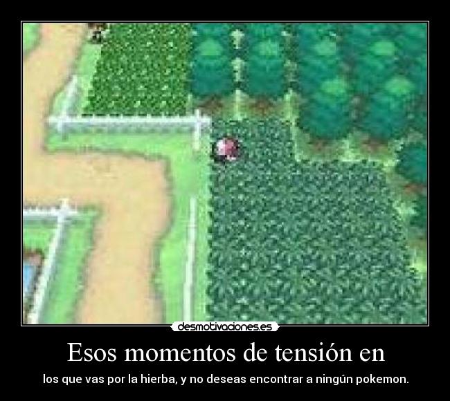 Esos momentos de tensión en - 