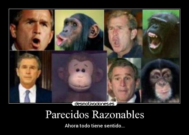 Parecidos Razonables -