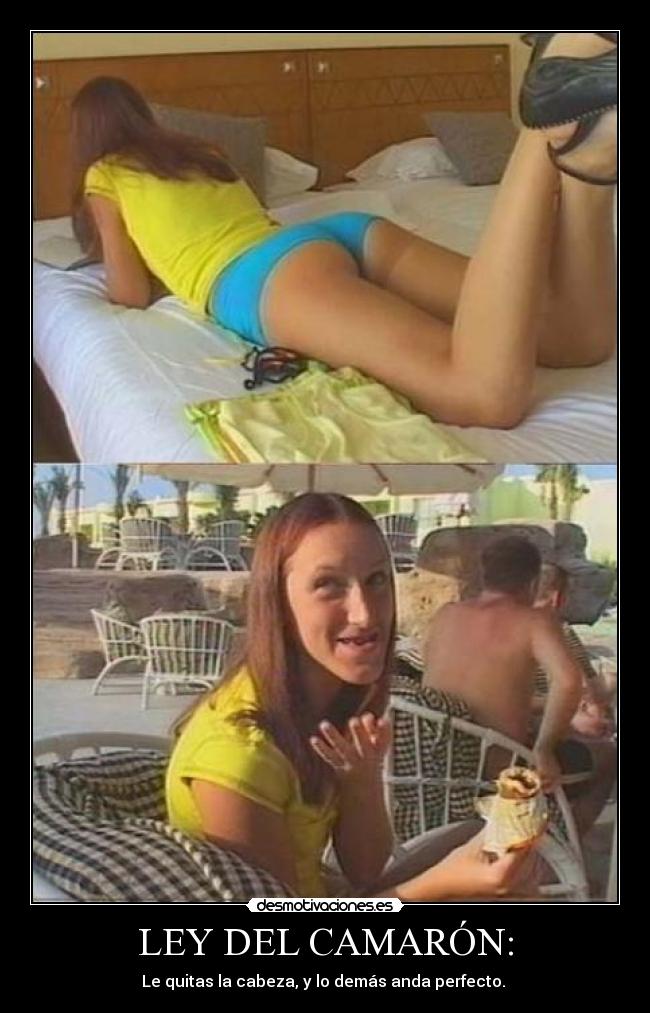 LEY DEL CAMARÓN: -