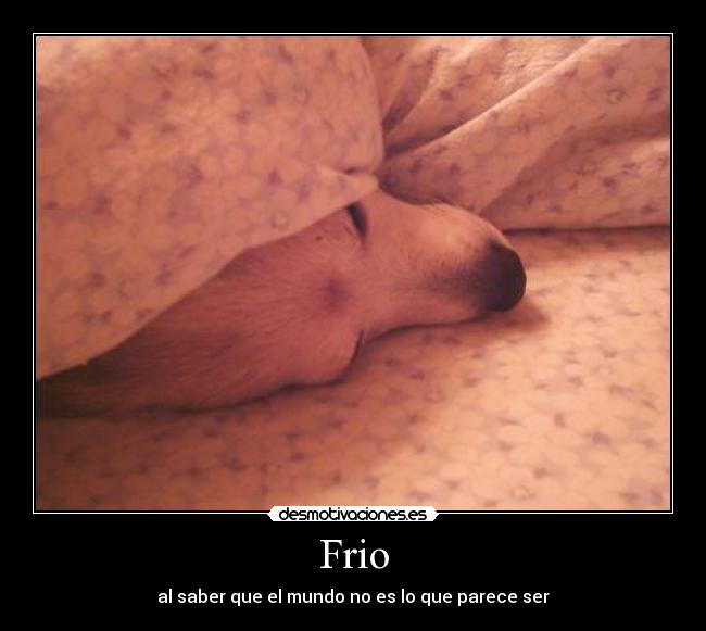 Frio - al saber que el mundo no es lo que parece ser