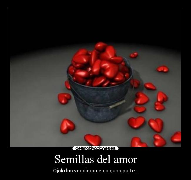 Semillas del amor -