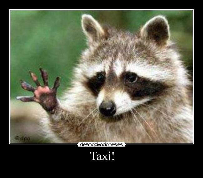 Taxi! - 