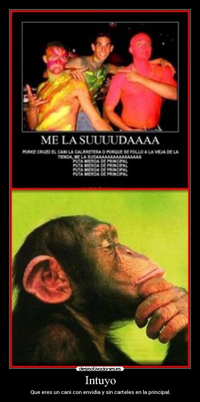 Intuyo - Que eres un cani con envidia y sin carteles en la principal.