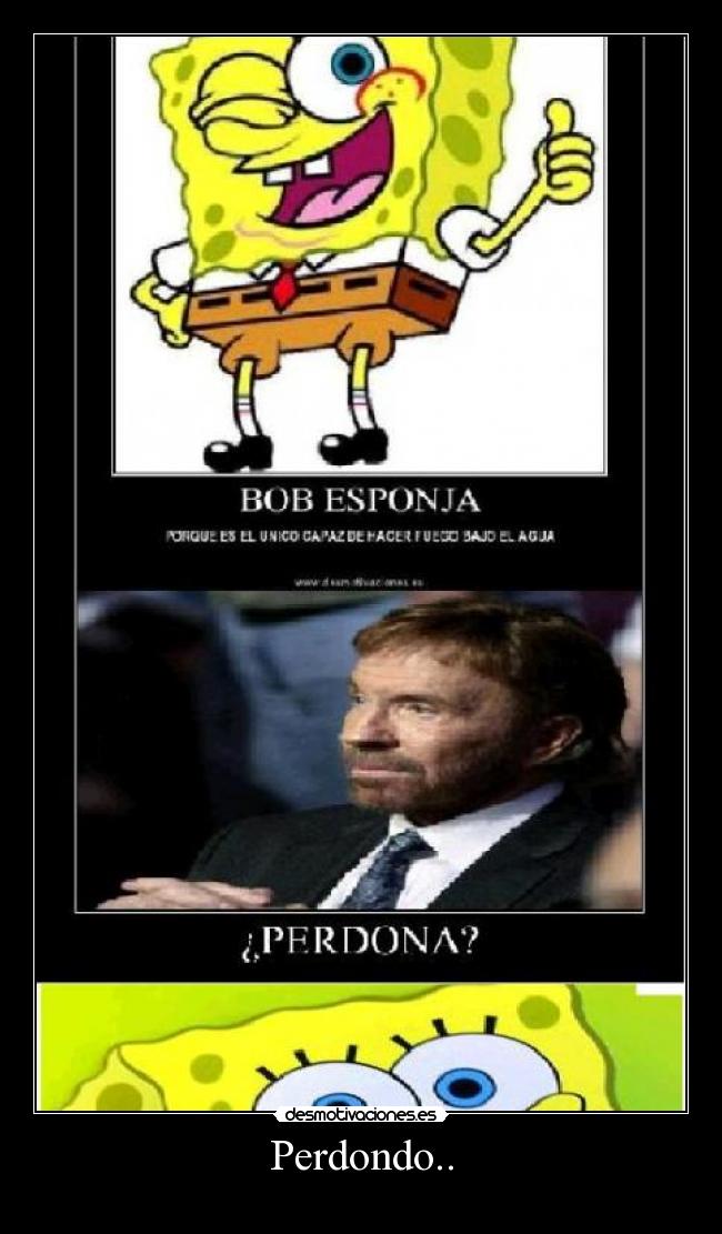 Perdondo.. -