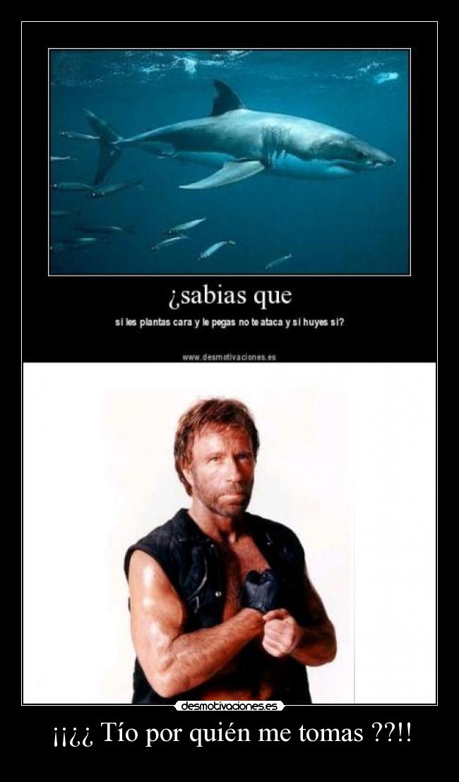 ¡¡¿¿ Tío por quién me tomas ??!! -