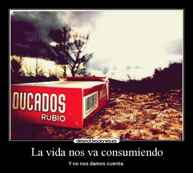 La vida nos va consumiendo - Y no nos damos cuenta.