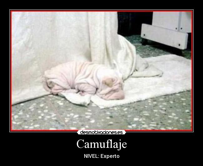 Camuflaje -