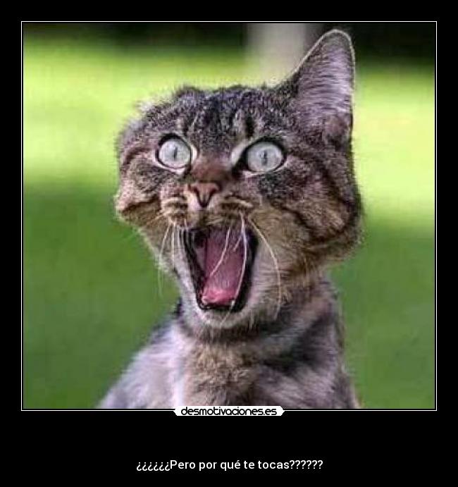 - ¿¿¿¿¿¿Pero por qué te tocas??????