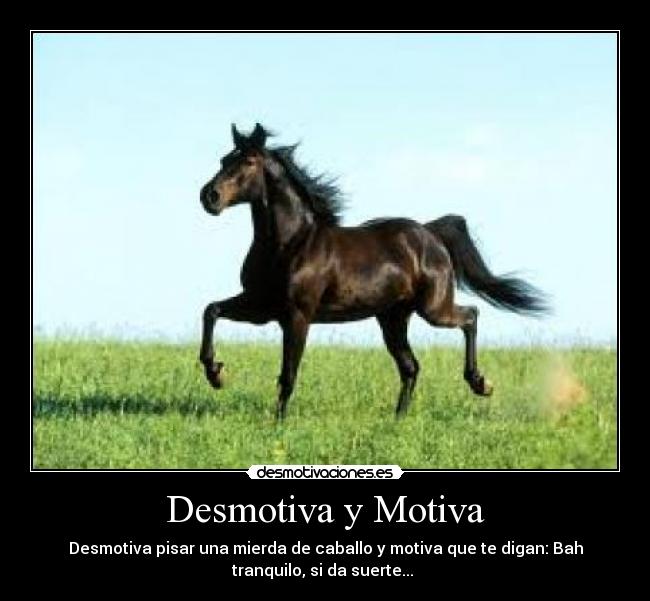Desmotiva y Motiva - Desmotiva pisar una mierda de caballo y motiva que te digan: Bah
tranquilo, si da suerte...