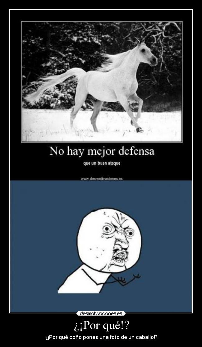 ¿¡Por qué!? - ¿¡Por qué coño pones una foto de un caballo!?