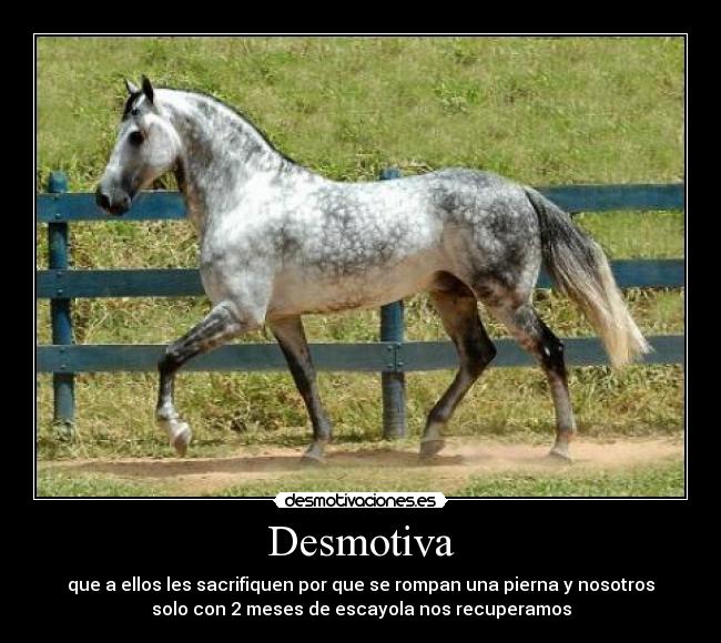 Desmotiva - que a ellos les sacrifiquen por que se rompan una pierna y nosotros
solo con 2 meses de escayola nos recuperamos