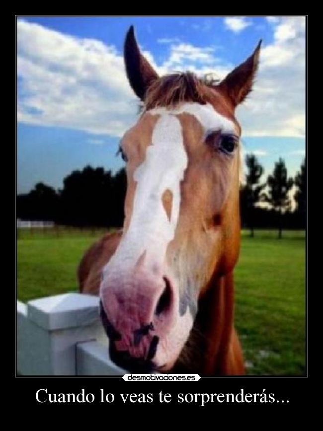 Cuando lo veas te sorprenderás... -