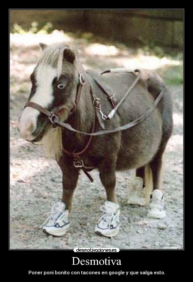 Desmotiva - Poner poni bonito con tacones en google y que salga esto.