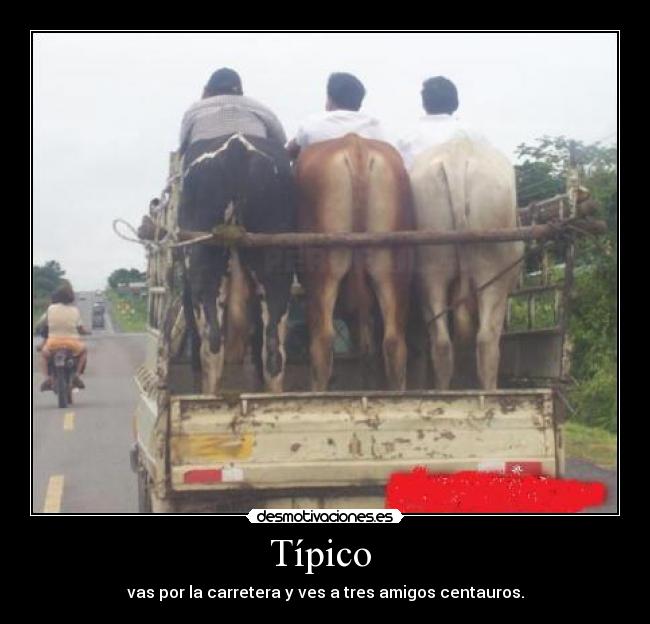 Típico  - vas por la carretera y ves a tres amigos centauros.