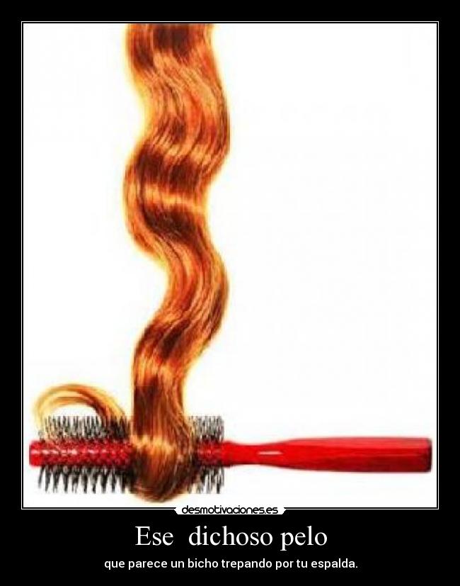 Ese dichoso pelo -