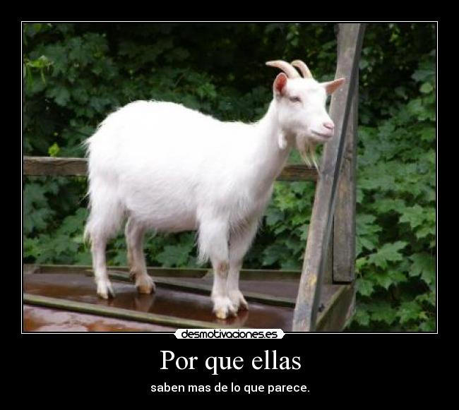 carteles desmotivaciones