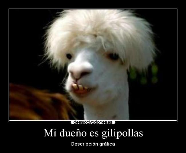 Mi dueño es gilipollas - Descripción gráfica