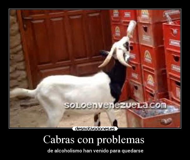 Cabras con problemas  - 