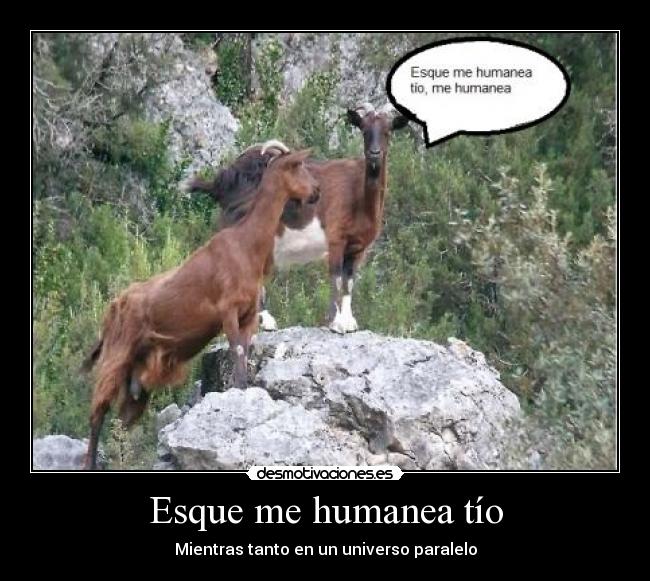 Esque me humanea tío -