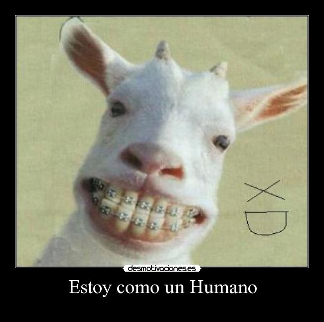 Estoy como un Humano - 