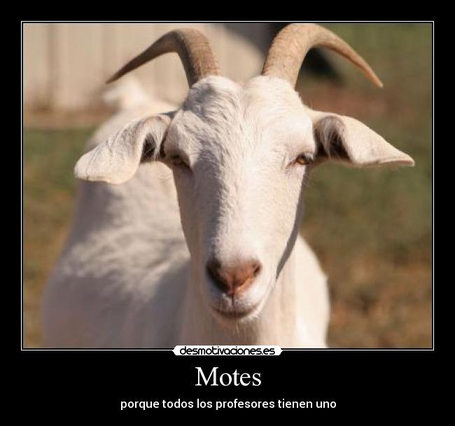 Motes -