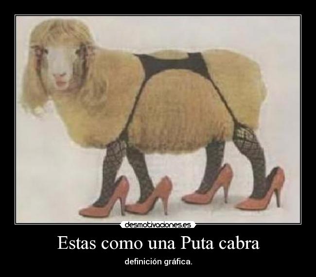 Estas como una Puta cabra -