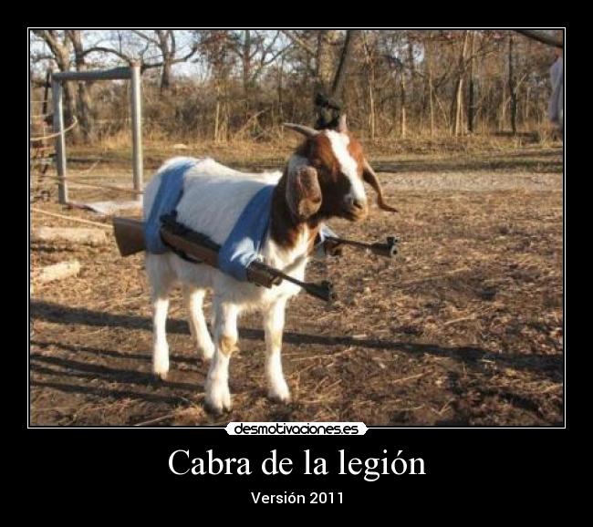 Cabra de la legión -