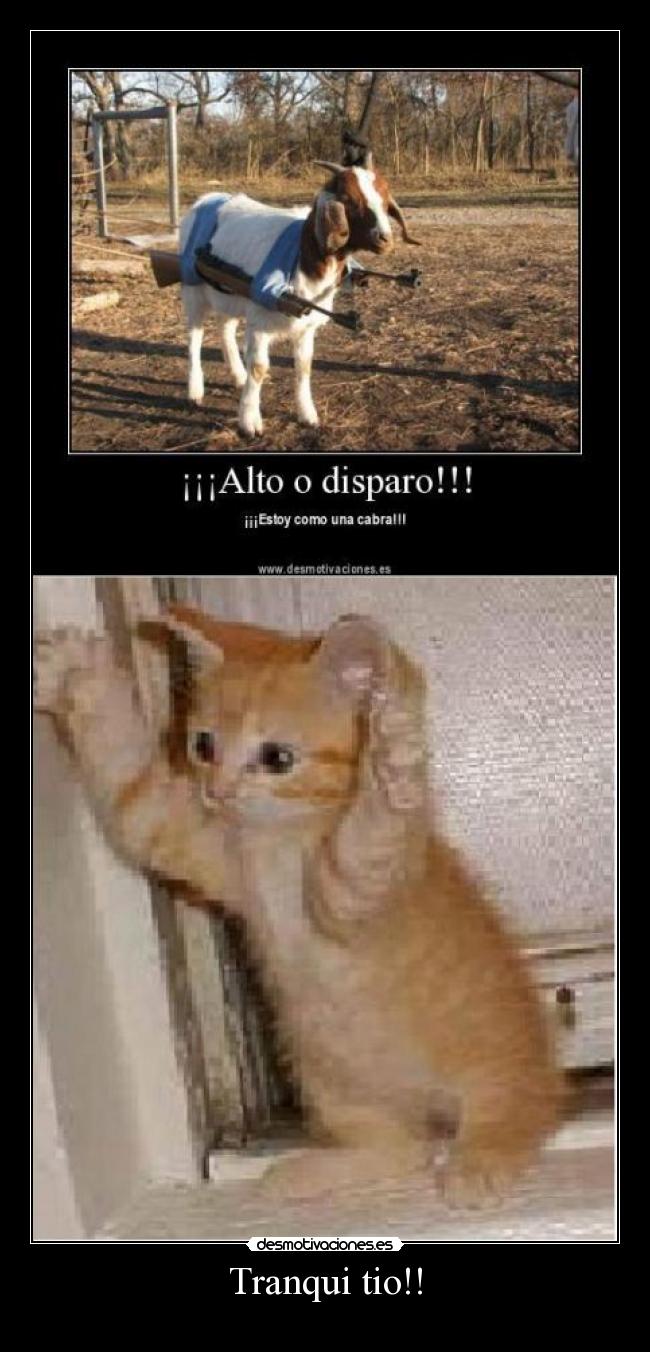 Tranqui tio!! - 