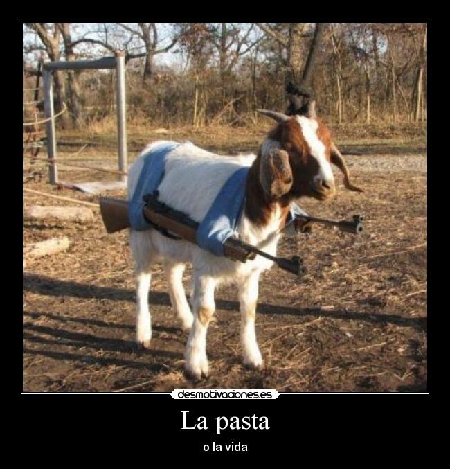 La pasta - o la vida