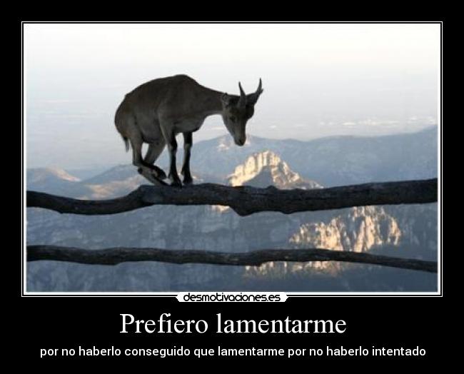 Prefiero lamentarme - por no haberlo conseguido que lamentarme por no haberlo intentado