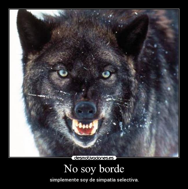 No soy borde - simplemente soy de simpatía selectiva.