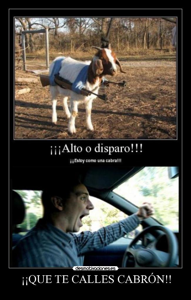 ¡¡QUE TE CALLES CABRÓN!! - 