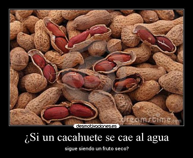 ¿Si un cacahuete se cae al agua - 