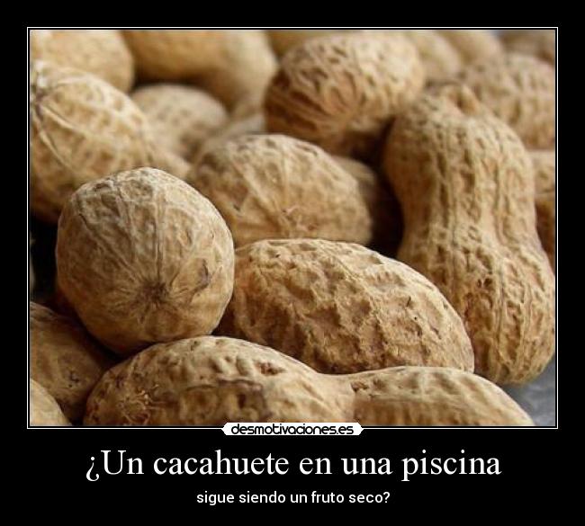 ¿Un cacahuete en una piscina - sigue siendo un fruto seco?