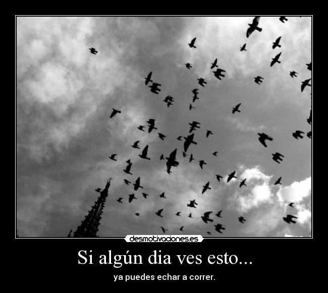 Si algún dia ves esto... -