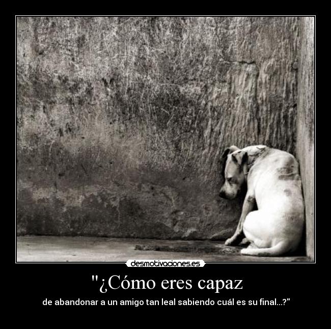 ¿Cómo eres capaz -