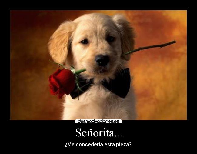 Señorita... - 