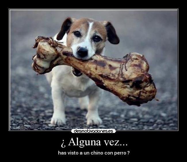¿ Alguna vez... -