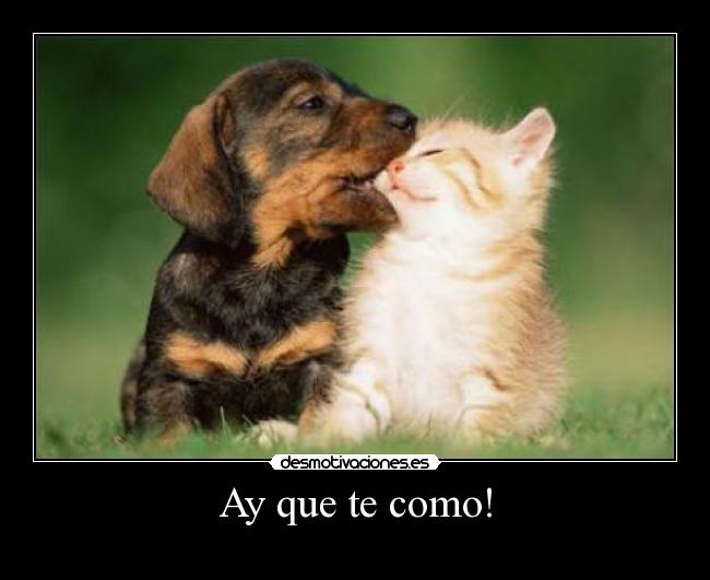 Ay que te como! -