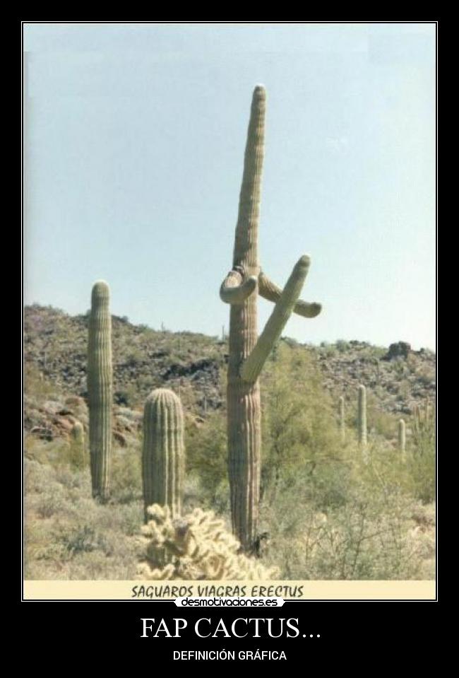 FAP CACTUS... - DEFINICIÓN GRÁFICA