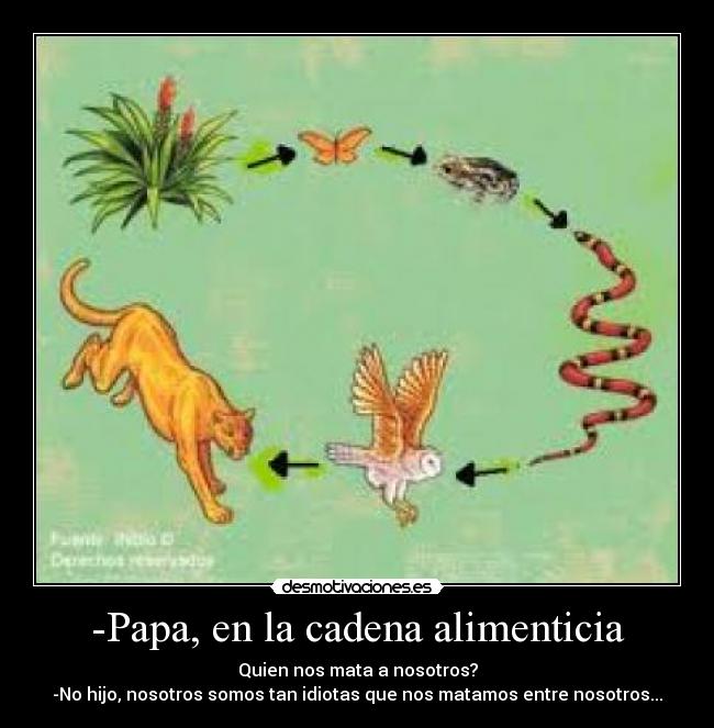 -Papa, en la cadena alimenticia - Quien nos mata a nosotros?
-No hijo, nosotros somos tan idiotas que nos matamos entre nosotros...