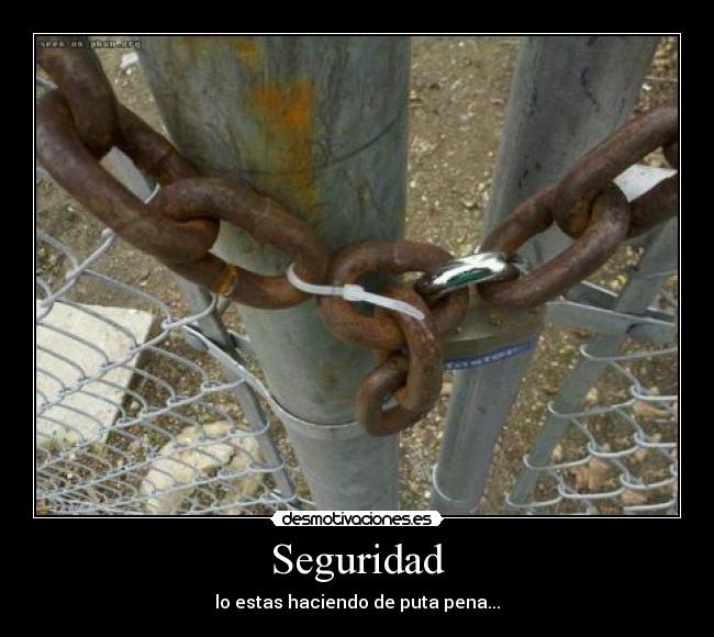 Seguridad - lo estas haciendo de puta pena...