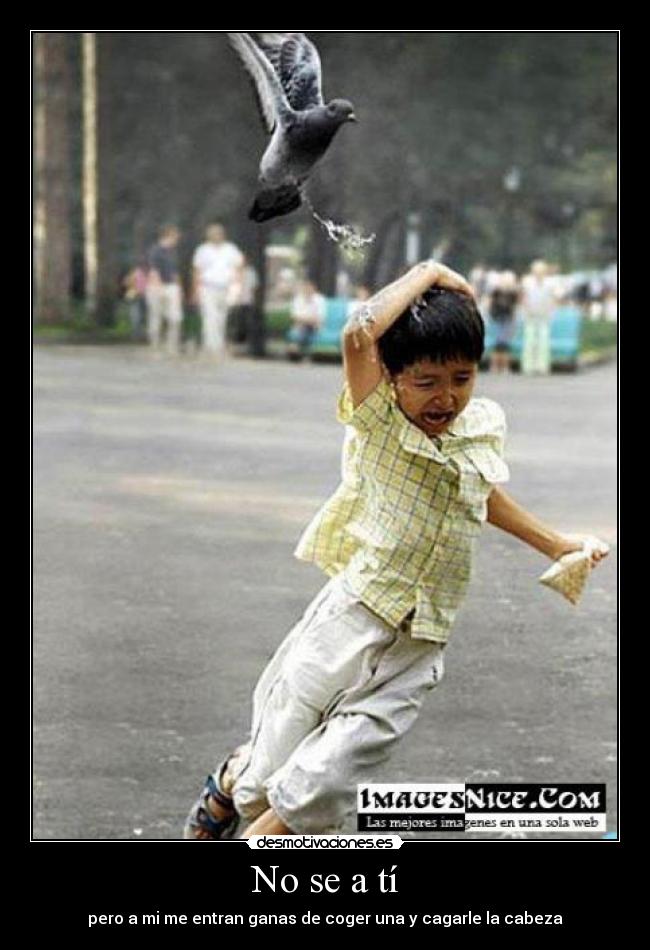 No se a tí - pero a mi me entran ganas de coger una y cagarle la cabeza