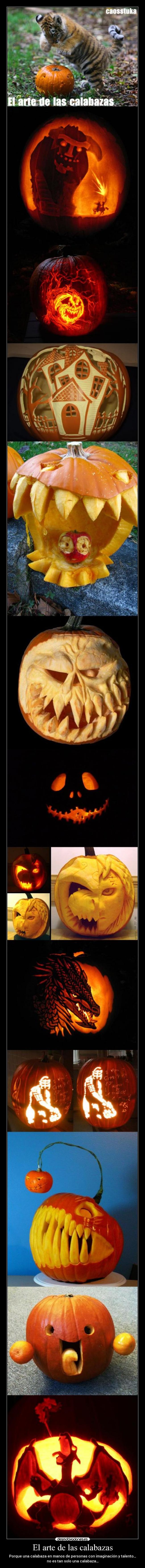 El arte de las calabazas - Porque una calabaza en manos de personas con imaginación y talento…
no es tan solo una calabaza…