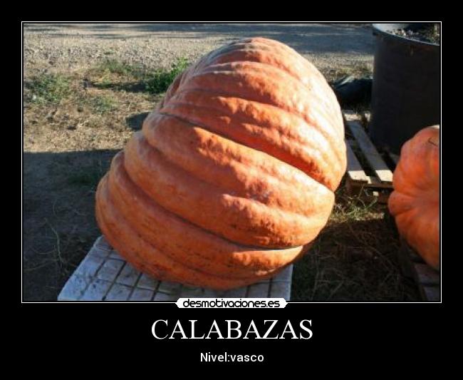 CALABAZAS -